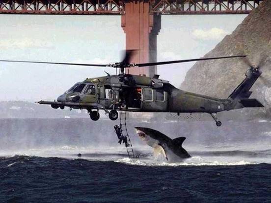 A Bad Day (Picture of a helicopter and a shark)