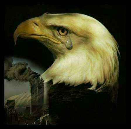 (Picture of a crying eagle)